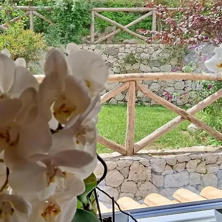 Annachiara Coast Villa *