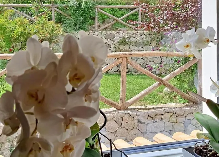 Annachiara Coast ヴィラ *